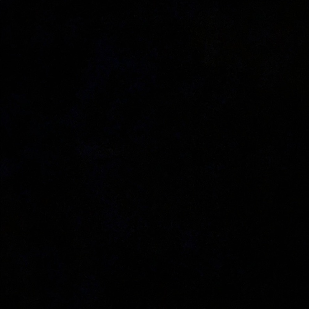 Meet your Posher, Lily